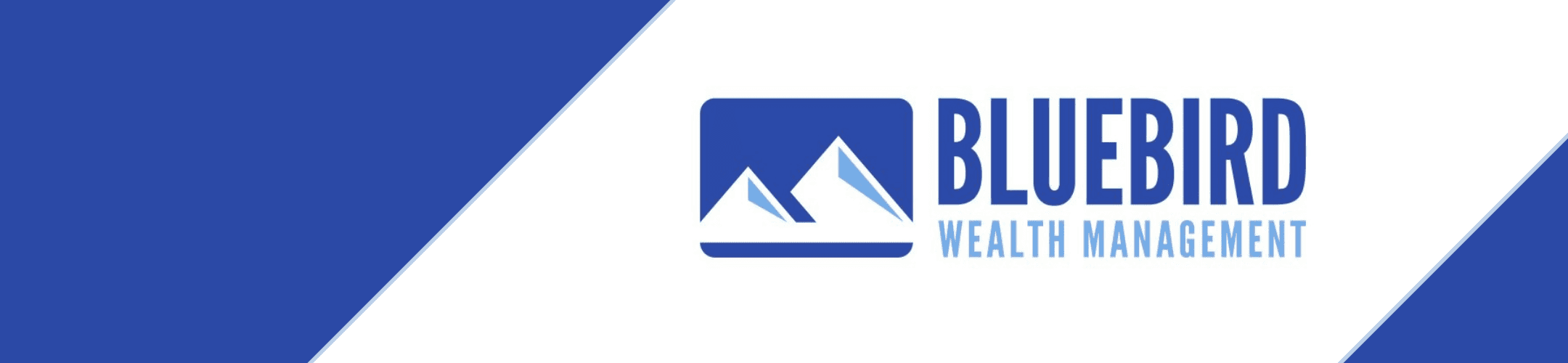 Corporate banner for bluebird wealth management featuring their logo with a stylized mountain peak against a blue and white background.
