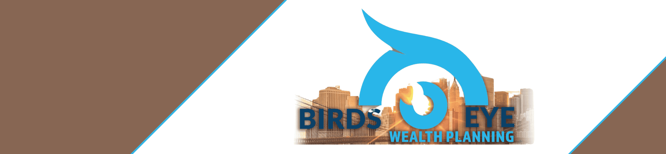 Birds Eye Wealth Planning logo features a stylized bird's eye with blue and brown elements, set against a background of a city skyline at sunset.