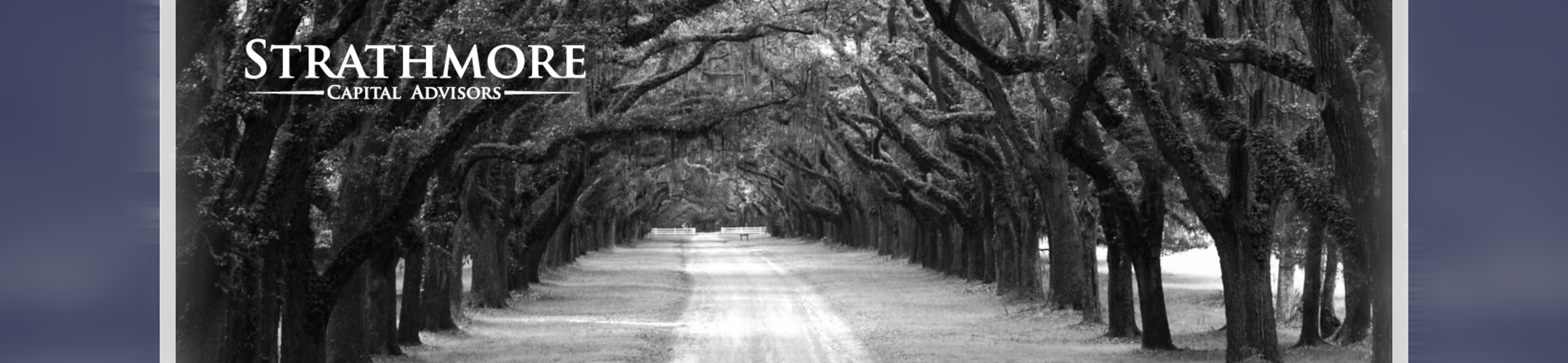 A black and white image of a tree-lined dirt road with large, arching branches creating a canopy. The text 